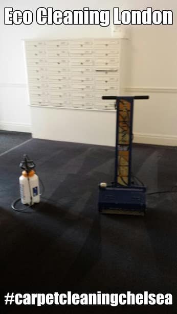 office carpet cleaning london